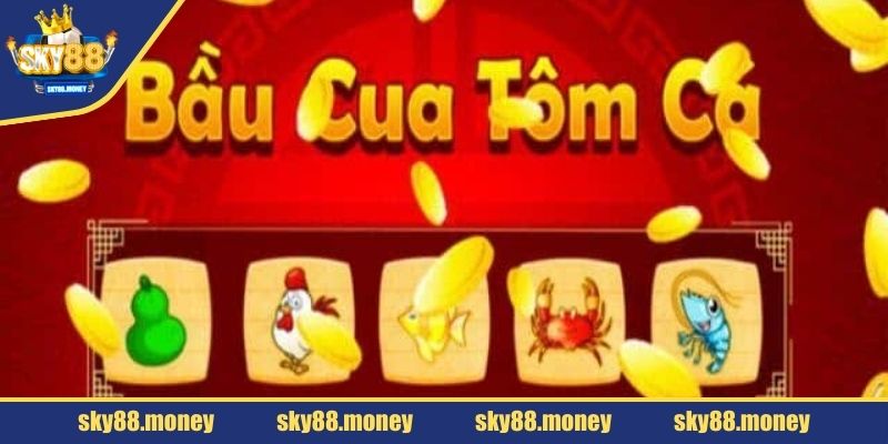 Luật chơi tân thủ cần nằm lòng